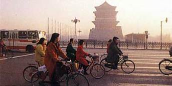 china_bicyclesWEB.jpg